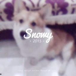 吃瓜少女喵娱乐,揭秘娱乐圈幕后故事